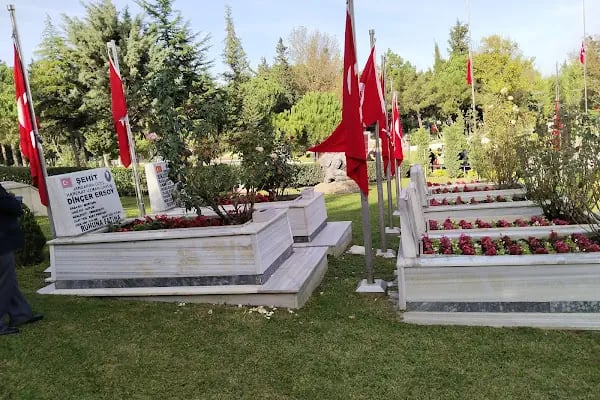 Ss Çerkezköy Motorlu Taşıyıcılar Kooperatifi - Resim 9