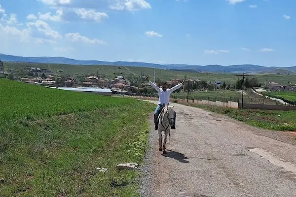 İpek Yolu At Çiftliği - Resim 17