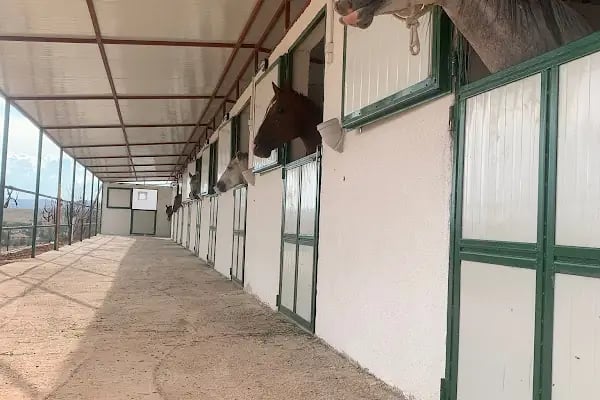 İpek Yolu At Çiftliği - Resim 20