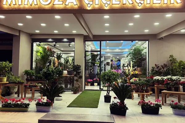 Denizli Mimoza Çiçekçilik - Denizli Çiçek Siparişi - Resim 9