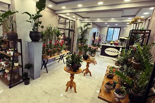 Denizli Mimoza Çiçekçilik - Denizli Çiçek Siparişi - Resim 12
