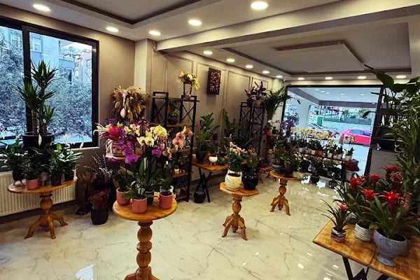 Denizli Mimoza Çiçekçilik - Denizli Çiçek Siparişi - Resim 3