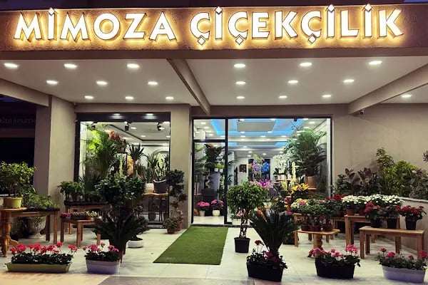 Denizli Mimoza Çiçekçilik - Denizli Çiçek Siparişi - Resim 2