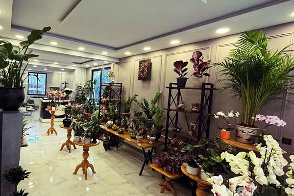 Denizli Mimoza Çiçekçilik - Denizli Çiçek Siparişi - Resim 15