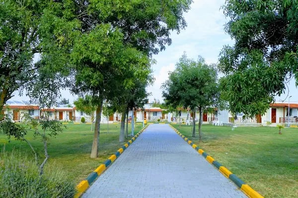 İstanbul Üniversitesi Profesör Dr. Nazım Terzioğlu Kültür Ve Eğitim Tesisleri - Resim 15
