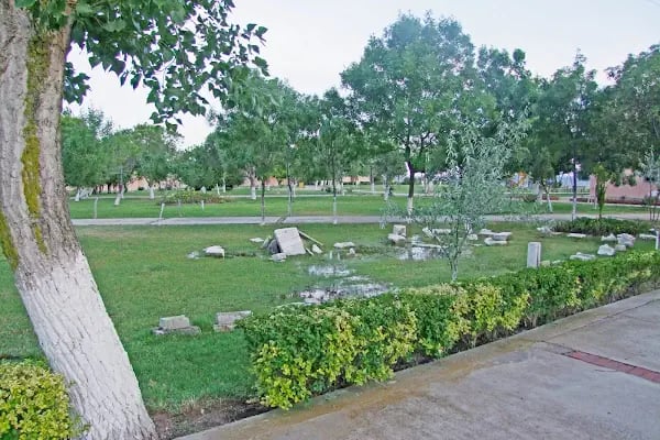 İstanbul Üniversitesi Profesör Dr. Nazım Terzioğlu Kültür Ve Eğitim Tesisleri - Resim 10