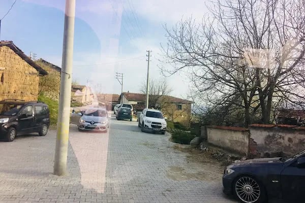 Argın Köyü Cami - Resim 3
