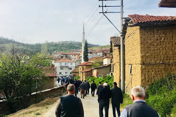 Argın Köyü Cami - Resim 2
