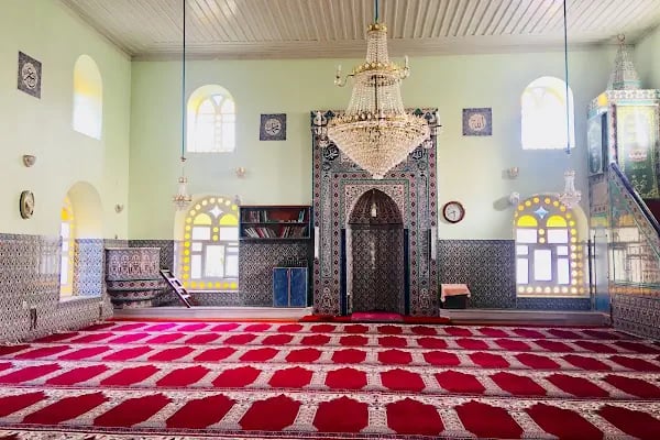 Argın Köyü Cami - Resim 5