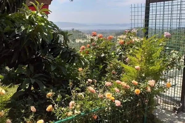 nortHestia Cafe &amp; Restaurant - Resim 15