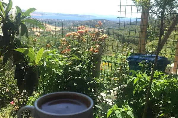 nortHestia Cafe &amp; Restaurant - Resim 19