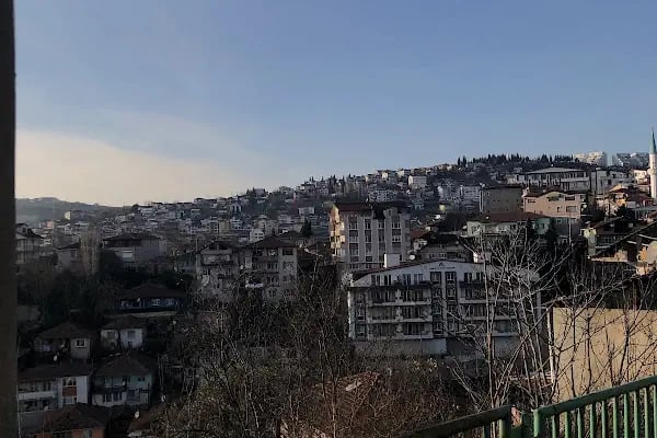 Limaş - Resim 1
