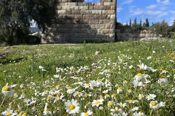 Myndos Bahçe Sitesi - Resim 13