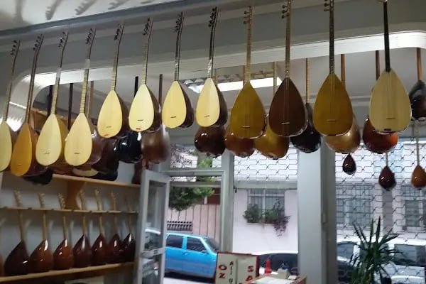Öz Şahin Saz Evi - Resim 3