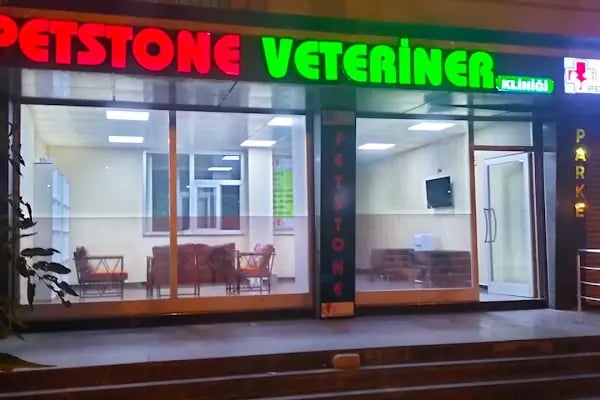 PETSTONE VETERİNER KLİNİĞİ - Resim 3