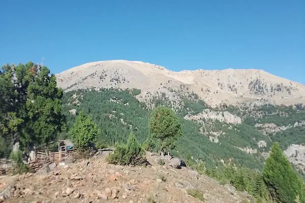 Çontaroğulları Veteriner kliniği - Resim 15