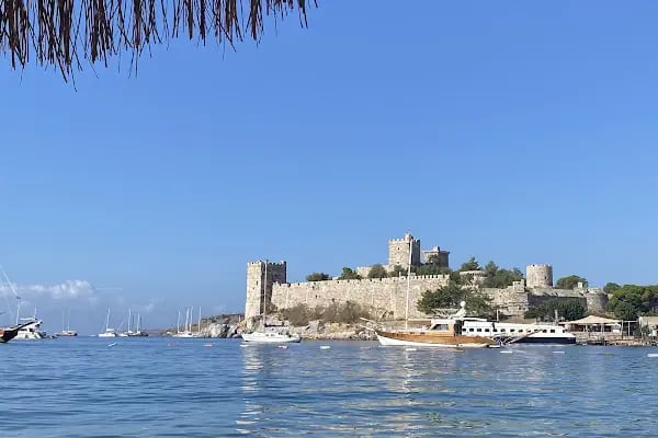 Gaya Social Bodrum - Resim 17