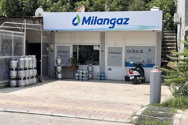 manav ticaret - Resim 4