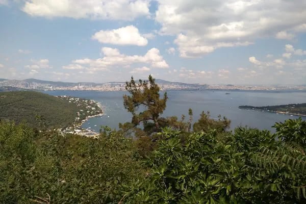 BÜYÜKADA MAVİ RESTAURANT & BUTİK OTEL - Resim 12