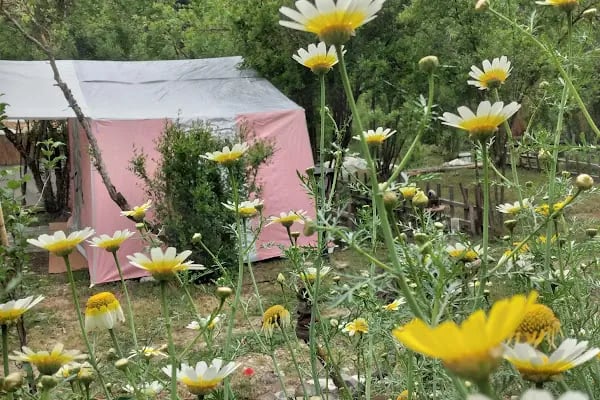 HÜNEBA camping - Resim 20