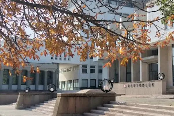 Orta Doğu Teknik Üniversitesi - Resim 9