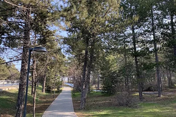 Orta Doğu Teknik Üniversitesi - Resim 5