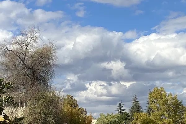 Orta Doğu Teknik Üniversitesi - Resim 19
