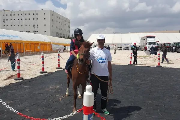 Şanlıurfa Sosyal Güvenlik İl Müdürlüğü - Resim 7