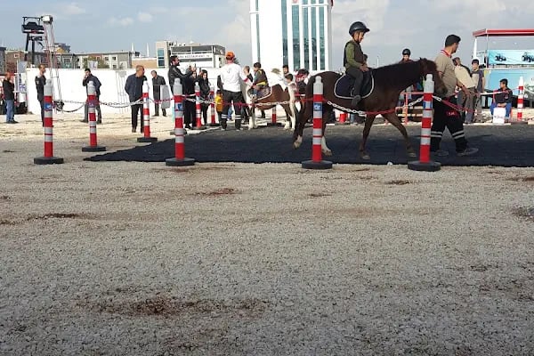 Şanlıurfa Sosyal Güvenlik İl Müdürlüğü - Resim 2
