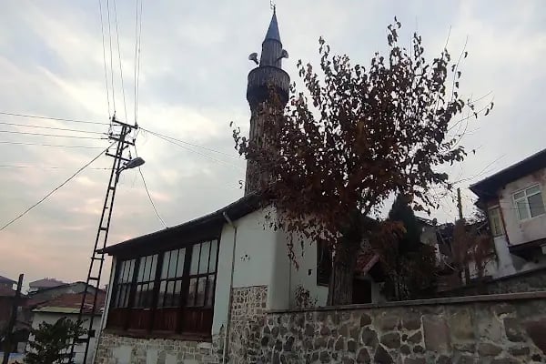 Direkli Cami - Resim 14