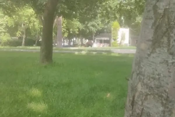 Uludağ Üniversitesi Mustafakemalpaşa Meslek Yüksekokulu - Resim 14