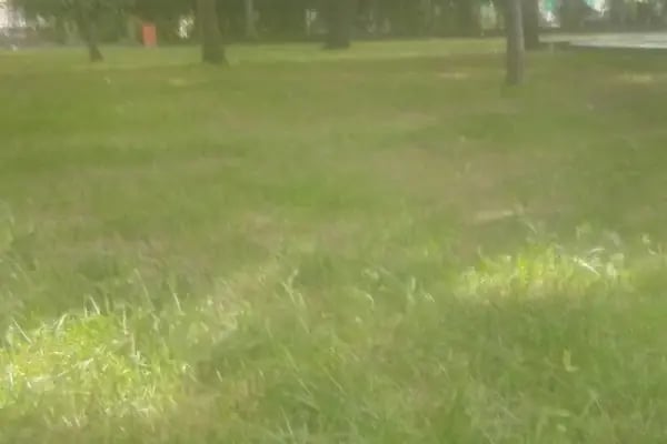 Uludağ Üniversitesi Mustafakemalpaşa Meslek Yüksekokulu - Resim 17