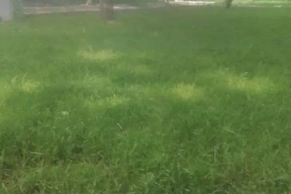 Uludağ Üniversitesi Mustafakemalpaşa Meslek Yüksekokulu - Resim 4