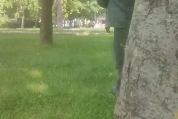 Uludağ Üniversitesi Mustafakemalpaşa Meslek Yüksekokulu - Resim 16