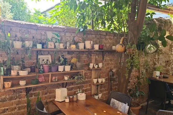 Muzip Cafe - Resim 5