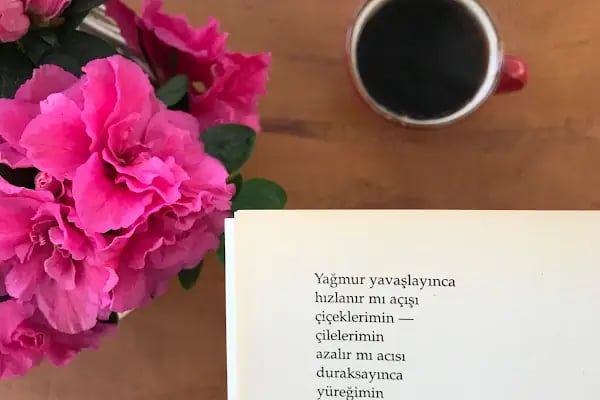 Muzip Cafe - Resim 18