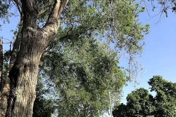 Florya Güneș Plajı - Resim 17