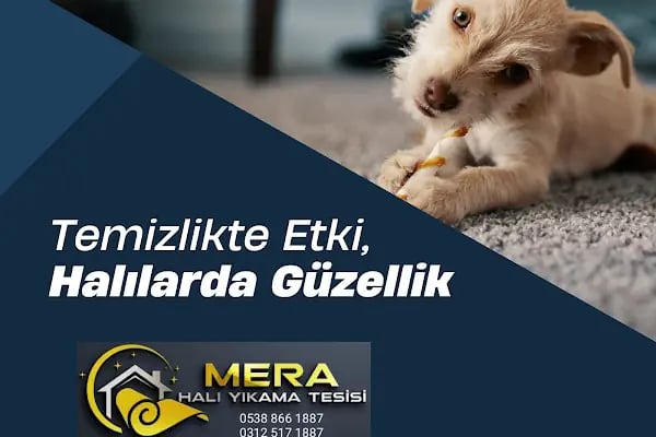 Mera Halı Yıkama - Resim 17