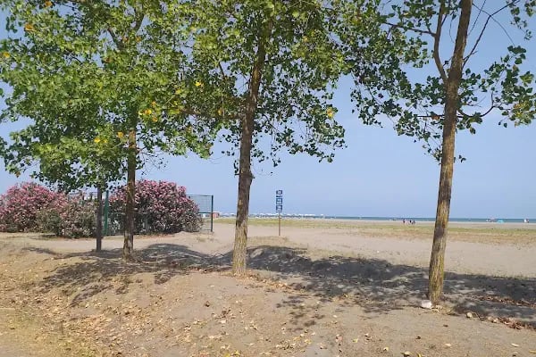 Mesire Alanı - Resim 7
