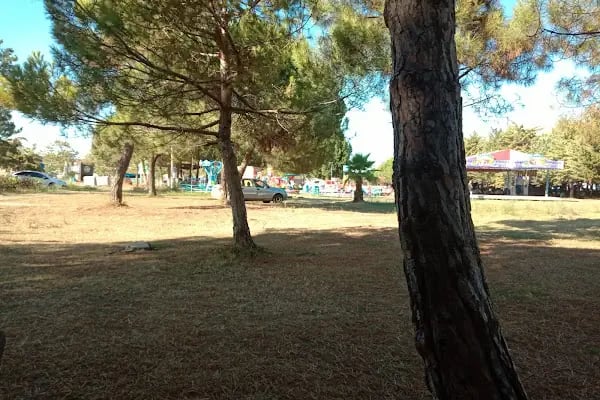 Mesire Alanı - Resim 5