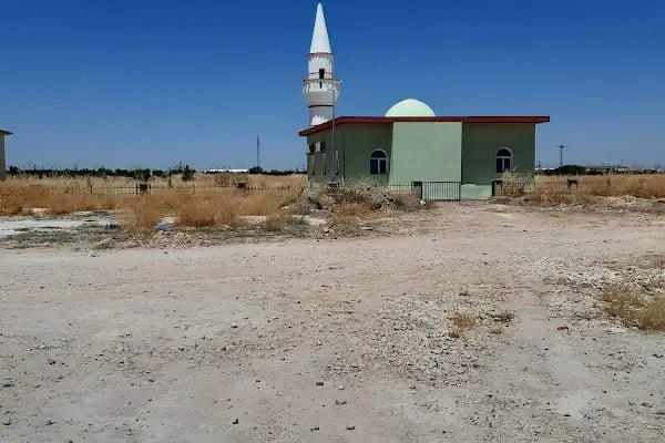 Takuş Cami-i - Resim 9