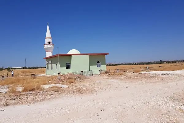 Takuş Cami-i - Resim 11