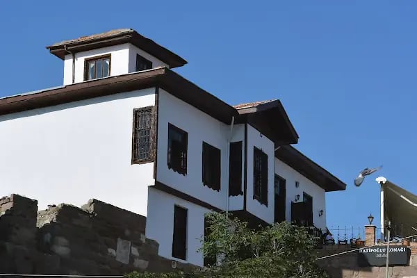 Kesikbaş (Felekeddin, Hacı Arap) Türbesi - Resim 17