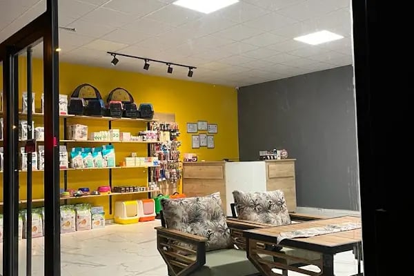 Eryaman Petamica Veteriner Kliniği 7/24 ACİL - Resim 10