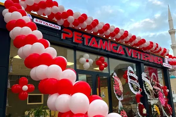 Eryaman Petamica Veteriner Kliniği 7/24 ACİL - Resim 3