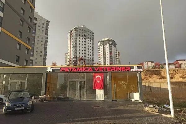 Eryaman Petamica Veteriner Kliniği 7/24 ACİL - Resim 16