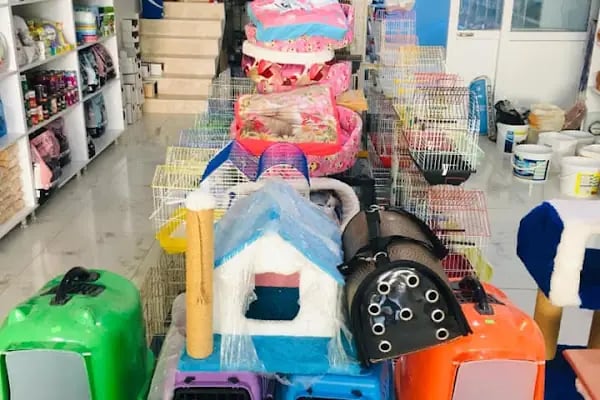 AKKENT OKYANUS PET SHOP - Resim 3