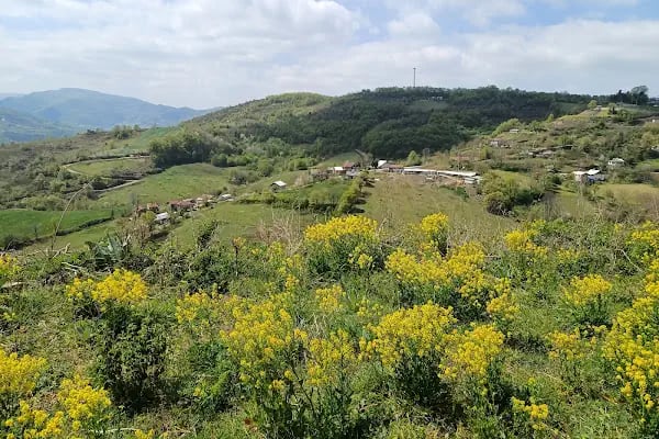 Yuvacık Barajı Yürüyüş Parkuru - Resim 16
