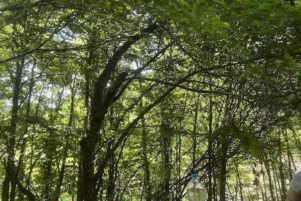 Yuvacık Barajı Yürüyüş Parkuru - Resim 15