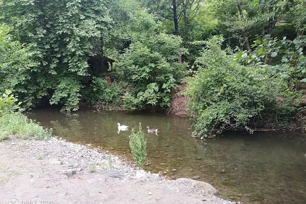 Yuvacık Barajı Yürüyüş Parkuru - Resim 8